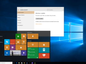 Handling Windows 10 Privacy Settings with Ultimate Windows Tweaker