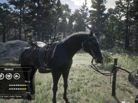 How do I carry 99 items in RDR2?