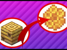 How do you get honey and honeycomb in Minecraft?