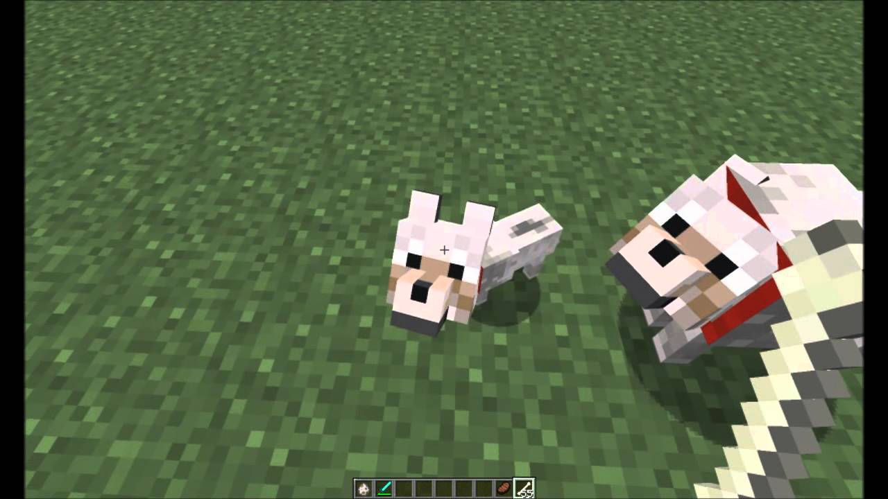 How do you tame a VEX in Minecraft?