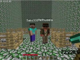 Can you make your own server in Minecraft for free?