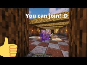How do I join a Lifesteal SMP IP?