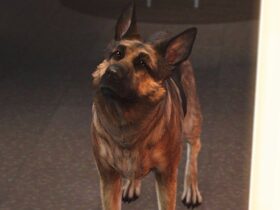 How do you make dogmeat invincible in Fallout 4?