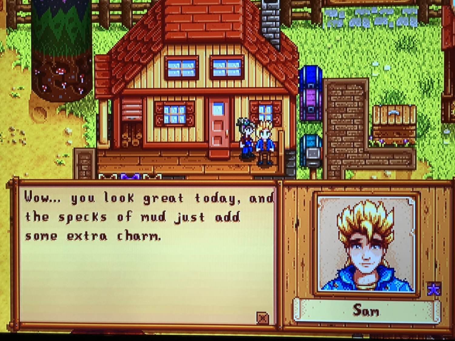 How do you mod switch on Stardew Valley?