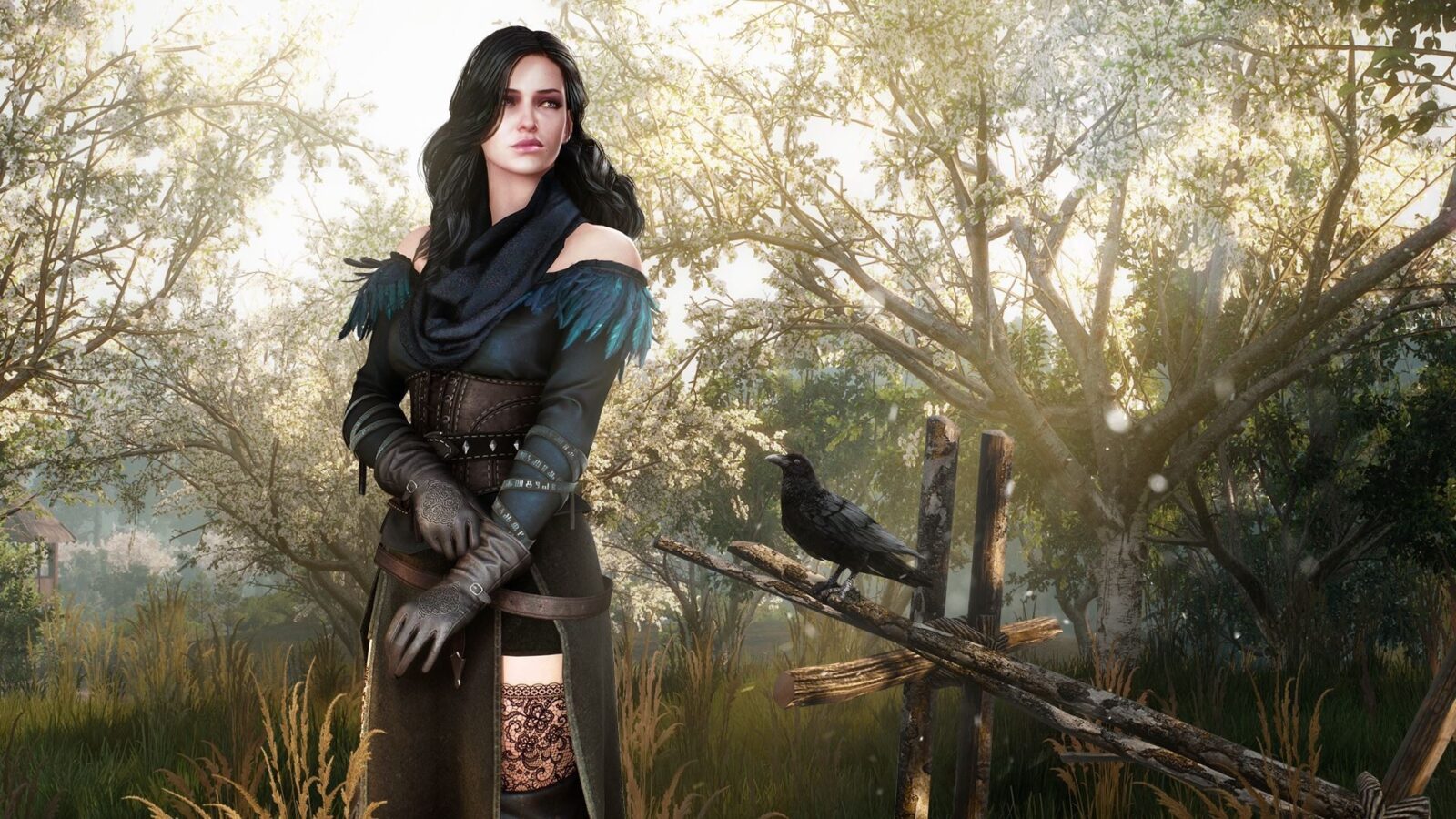 Is Yennefer in the DLC Witcher 3?