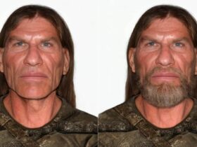 Scientists 'reconstruct' Skyrim skeleton's face to look like Iggy Pop