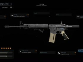 What guns do pro Warzone players use?
