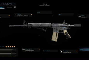 What guns do pro Warzone players use?