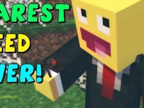 What's the rarest thing in Minecraft?
